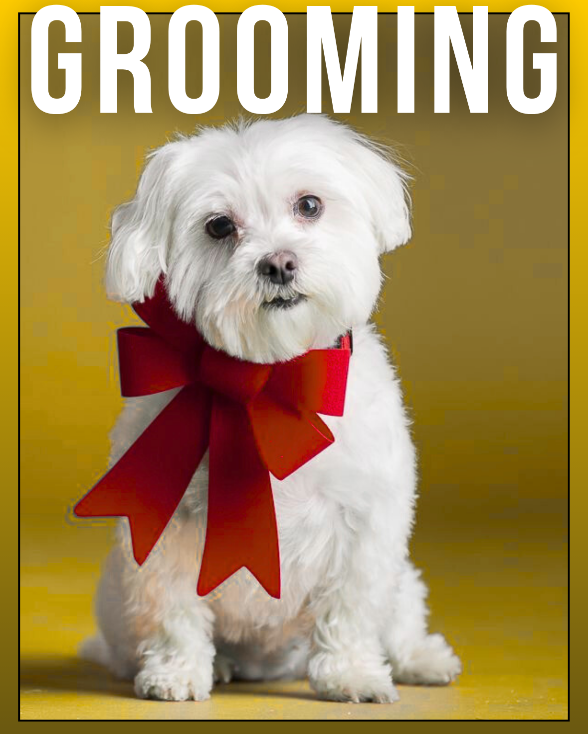 The PetSential Prestige Grooming